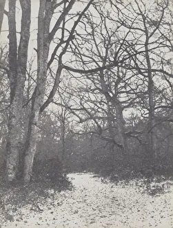 Road in the Forest, 1860-1863. Creator: Eugene Cuvelier (French, 1837-1900)