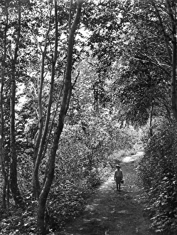 Russian Federation Prints: Road in the forest, 1910-1929. Creator: Ivan Emelianovich Larin
