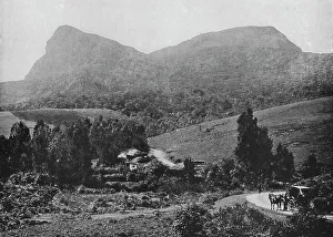 Alfred William Amandus Prints: On the Road to Hakgalla. Hakgalla Rock in the Distance