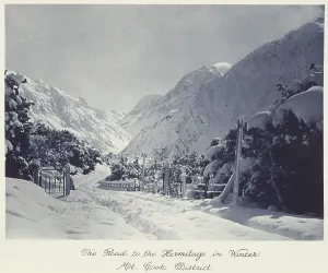 Pines Prints: The road to the Hermitage in winter, Mt Cook district, 1920s. Creator: Harry Moult
