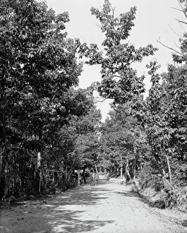 Road to High Rock, Pen Mar Park, Md. between 1900 and 1906. Creator: Unknown