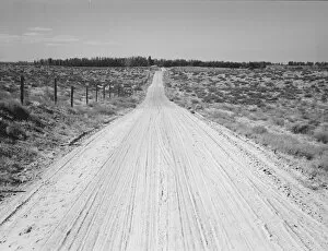 Road leading to small farm in northern Oregon, Irrigon, Morrow County, Oregon, 1939. Creator: Dorothea Lange