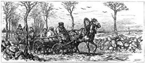 Images Dated 17th November 2007: On a road near St Petersburg, Russia, 1882