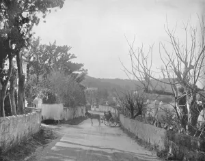 A Road in Port Royal, Bermuda, 19th century