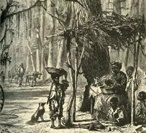 Bobbett Gallery: A Road-side Scene near Charleston, 1872. Creator: Albert Bobbett