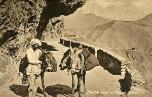Leading Gallery: On the road to Theog, Simla, c1918-c1939. Creator: Unknown