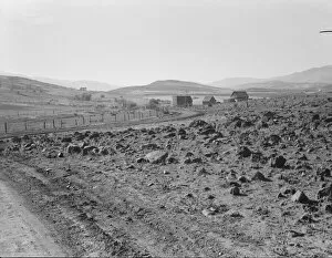 Cooperative Gallery: Road up the valley toward Ola self-help sawmill co-op, Gem County, Idaho, 1939