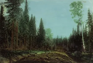 Road Building Prints: Roadbed Before Planning. Kedrovsk-Alekseevsk Road
