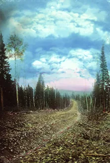 Surface Prints: The Roadbed After Planning. Petropavlovsk Branch