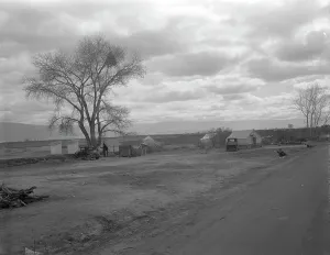 Refugee Camp Prints: Part of a roadside ranch camp, twelve tents in this group