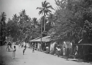 Roadside Scene on the Way to Mt. Lavinia, c1890, (1910). Artist: Alfred William Amandus Plate