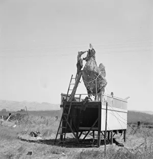 Repair Prints: Roadside sculpture (under repair) on U