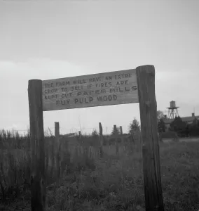 Paper Making Prints: Roadsign near Fullerton, Louisiana, 1937. Creator: Dorothea Lange