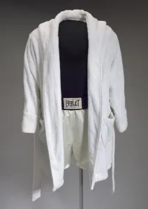 Robe and trunks worn by Denzel Washington as Rubin Carter in The Hurricane, 1999 Robe and trunks worn by Denzel Washington as Rubin Carter in The Hurricane, 1999
