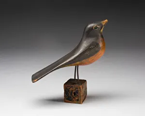 Robin, 1860 / 1900. Creator: Unknown
