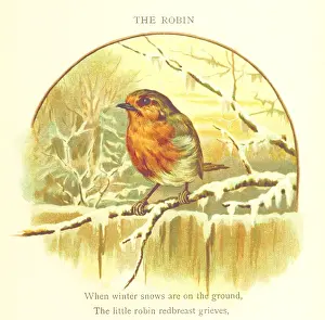 Jessie Prints: The Robin, 1893. Creator: Jessie Hall