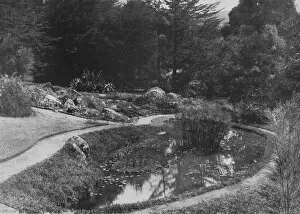 Alfred William Amandus Plate Gallery: The Rock Garden, Hakgalla Gardens, Nuwara Eliya, c1890, (1910). Artist: Alfred William Amandus Plate