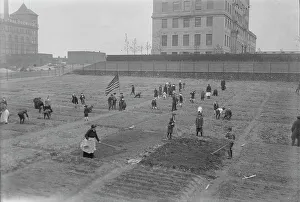 Us Flag Prints: Rockefeller garden, 1917. Creator: Bain News Service