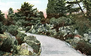 Images Dated 9th August 2006: The Rockery, Kew Gardens, Richmond upon Thames, London, 20th Century