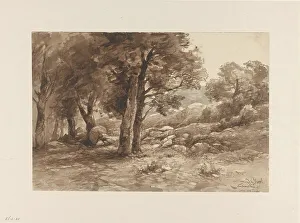 Fontainebleau Prints: Rocky landscape with trees, 1869. Creator: Johannes Gysbert Vogel