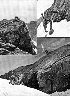Rockies Prints: After Rocky Mountain Sheep, 1890. Creator: H. F. Davey