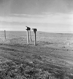 The rolling lands used for grazing near Mills, New Mexico, 1935. Creator: Dorothea Lange