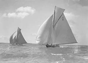 Rollo (foreground) and Javotto racing under spinnaker, 1911