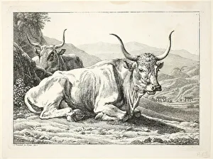 Laying Prints: Two Roman Bulls Resting, from Die Zwiete Thierfolge