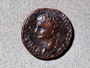 Caligula Prints: Roman coin from the first half of the 1st