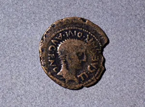 Roman coin from the first half of the first century AC, with a head facing right Roman coin from the first half of the first century AC, with a head facing right