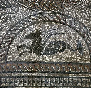 Detail of a Roman floor mosaic showing a sea-horse, 1st century Detail of a Roman floor mosaic showing a sea-horse, 1st century