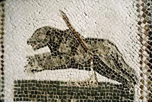 Bleeding Gallery: Roman Mosaic detail of Bear, from Diana the Huntress, Thuburbo Majus, Tunisia, c4th century
