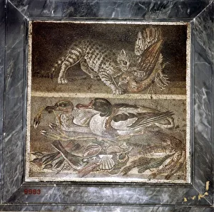 Ducks Prints: Roman mosaic of a cat with ducks, Pompeii, Italy