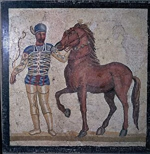 Charioteer Gallery: Roman mosaic of a charioteer, 1st century