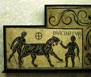 Gladiator Prints: Roman mosaic deoicting a tiger and gladiators, 2nd century