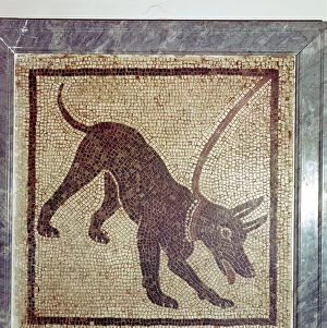 Roman mosaic of dog, Cave Canem, Pompeii, Italy