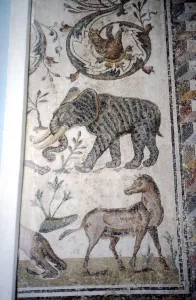 Bardo Museum Prints: Roman Mosaic of Elephant, Horse and Bear, c2nd-3rd century