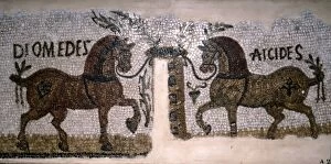 Palm Leaf Gallery: Roman Mosaic of Horses, Diomeder and Aicides, 2nd-3rd century