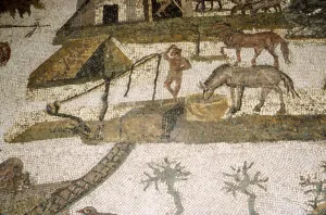 Bardo Museum Prints: Roman Mosaic of horses drinking, c2nd-3rd century