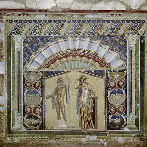 Herculaneum Prints: Roman mosaic in the Nymphaeum of the House, Herculaneum, Italy
