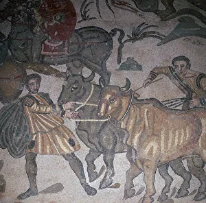 Oxen Prints: Roman mosaic of ploughing, 3rd century