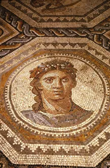 Floor Prints: Roman Mosaic of the Season Summer at Museum of Pagan Art, Arles, France, c1st-2nd century