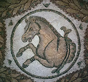 Detail of a Roman mosaic showing the head of a horse, 4th century Detail of a Roman mosaic showing the head of a horse, 4th century