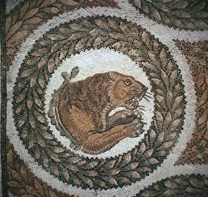 Detail of a Roman mosaic showing the head of a lion, 4th century Detail of a Roman mosaic showing the head of a lion, 4th century