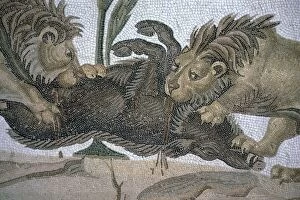 Detail of a Roman mosaic showing lions killing a boar, 2nd century