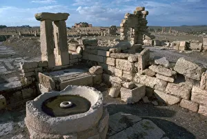 Tunisia Prints: Roman olive presses in the city of Sufetula