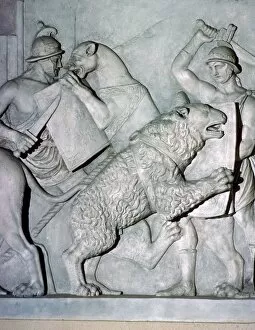 Big Cat Gallery: Roman relief of gladiators fighting wild beasts