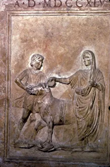 Oxen Prints: Roman Sacrifice of Bull