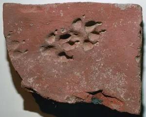Footprint Prints: Roman tile with a dogs footprint, 3rd century