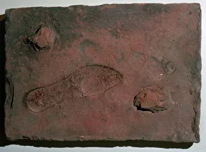 Footprint Prints: Roman tile with a human footprint, 3rd century